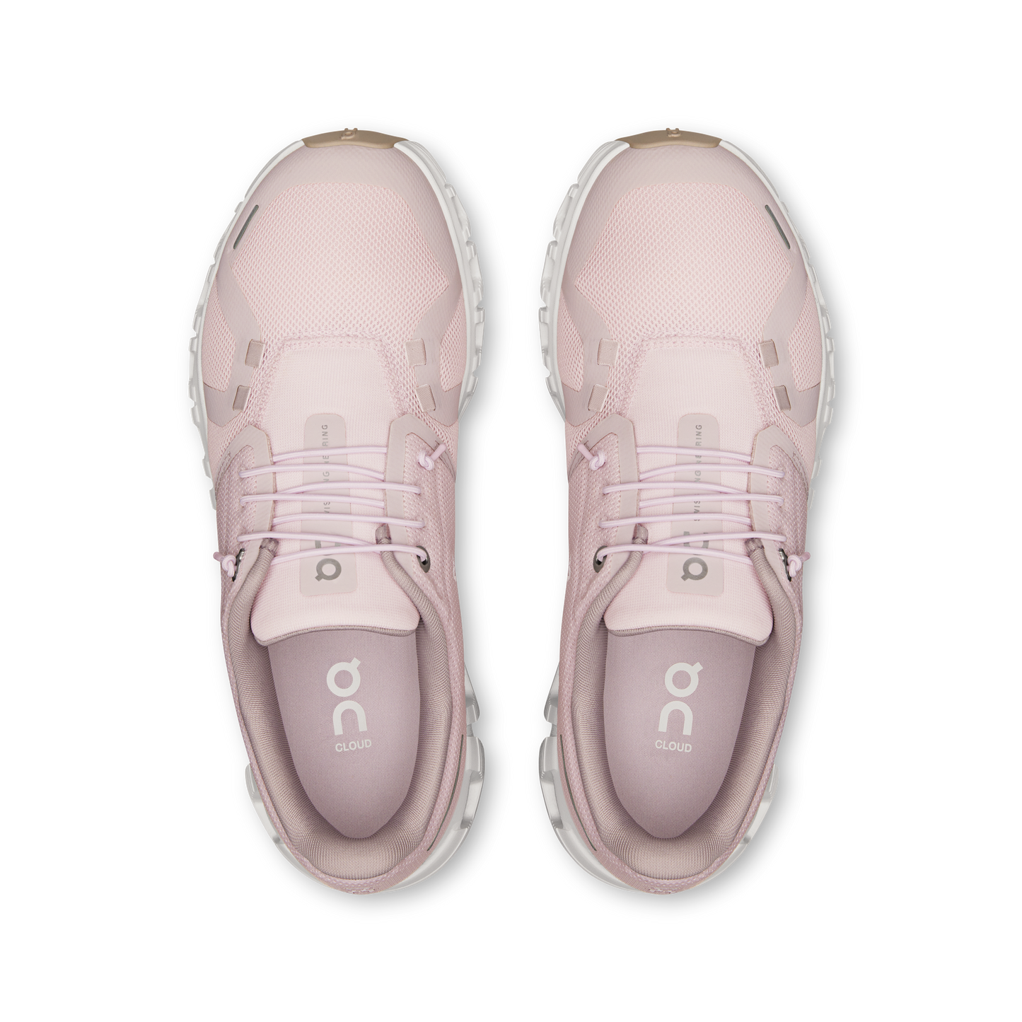 Cloud 6 Women's Orchid Fade
