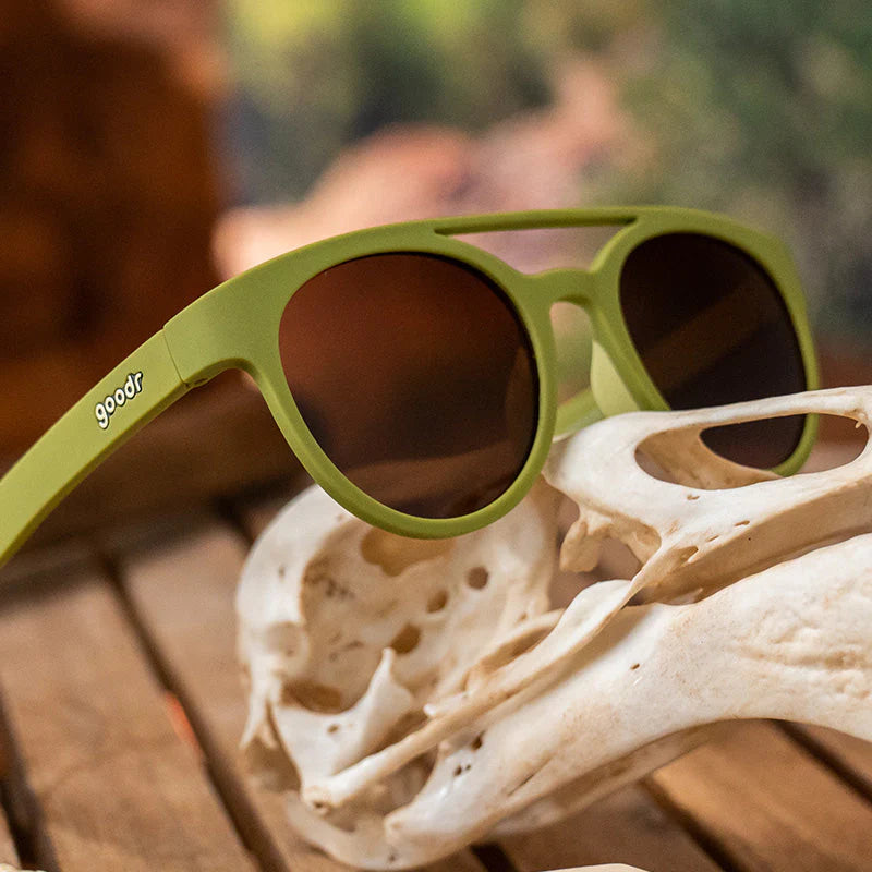 GOODR PHG Fossil Finding Focals